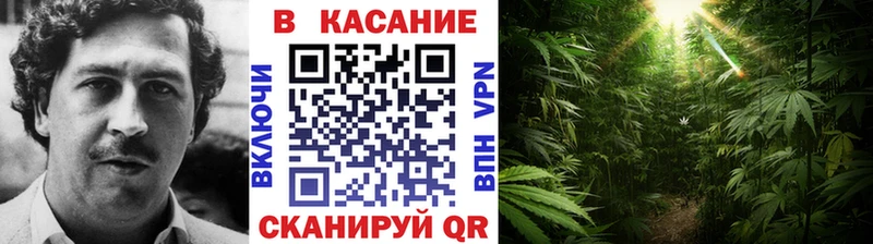 Наркошоп купить Каннабис  МЕФ  APVP  Псилоцибиновые грибы  Cocaine  ГАШИШ  Багратионовск