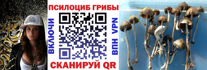 Галлюциногенные грибы ЛСД  Купить где  Багратионовск 