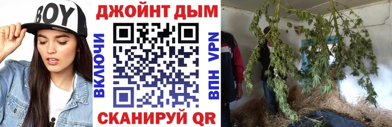 Канабис план  Купить закладки  Багратионовск 